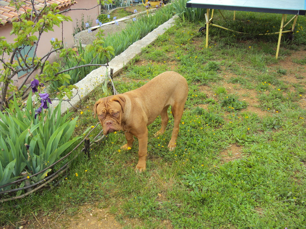 Dsc00298