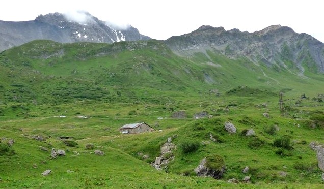 Les saisies 011