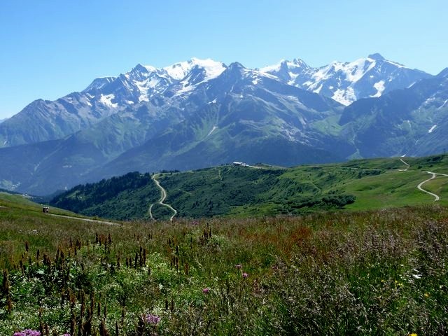 Les saisies 023