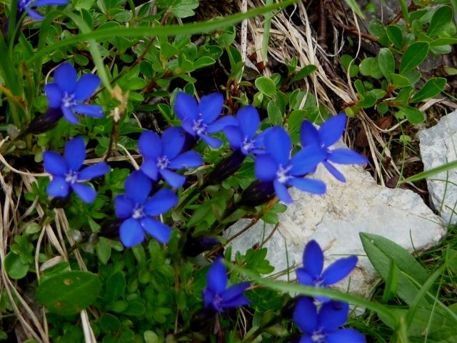 Les saisies 036