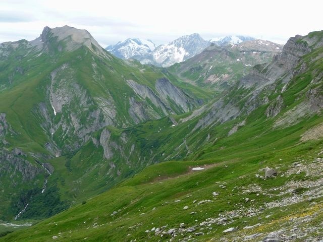 Les saisies 046