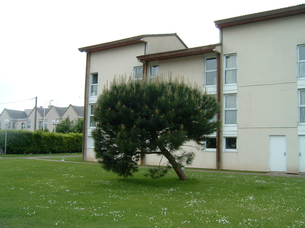 06 exterieur arriere
