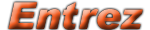 Entrez copie