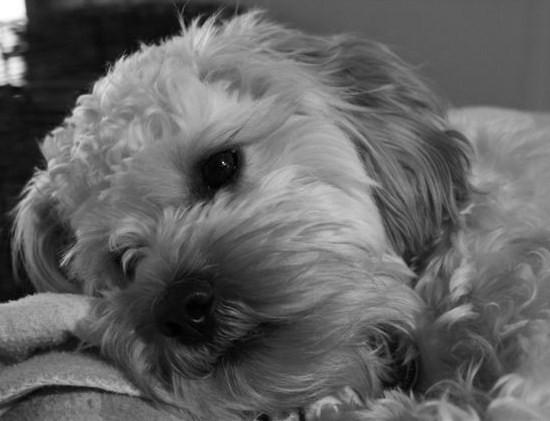 25eme lucie et serge 005