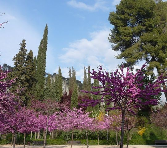 Espagne 039