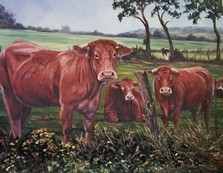  5 0006