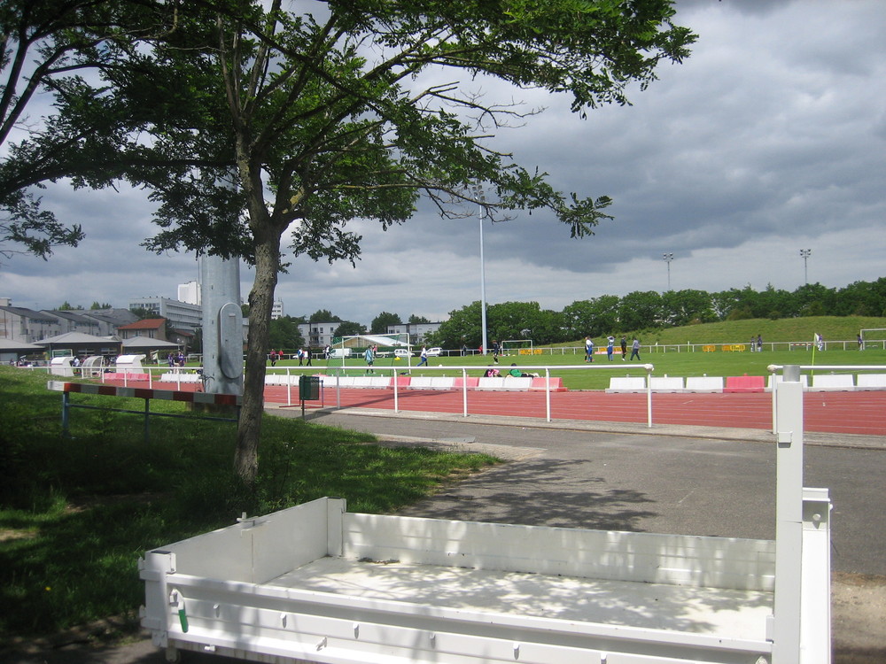Photo 035