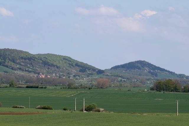 Vigneul1