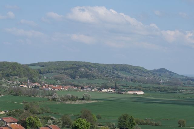 Vigneul2