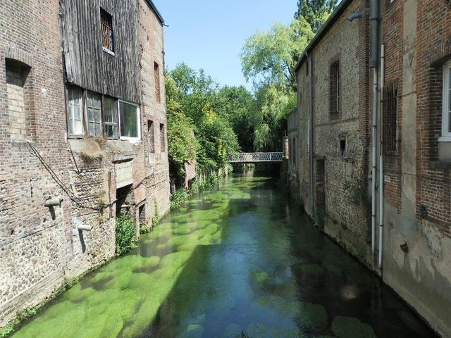 Laigle7