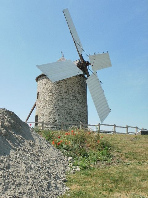 Moidrey1