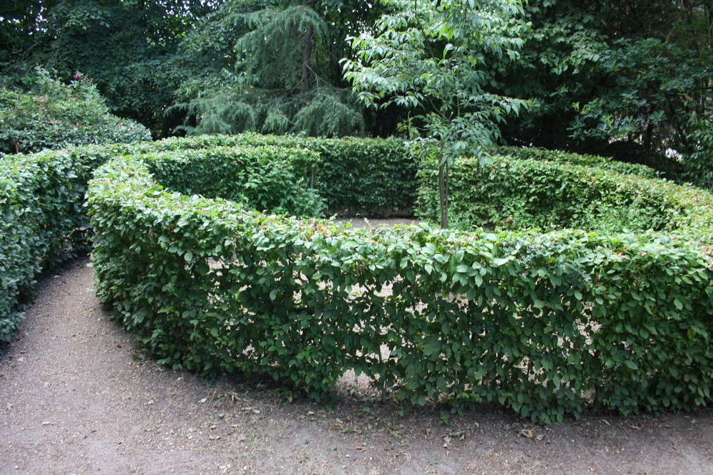 Le mini-labyrinthe réjouira les enfants.