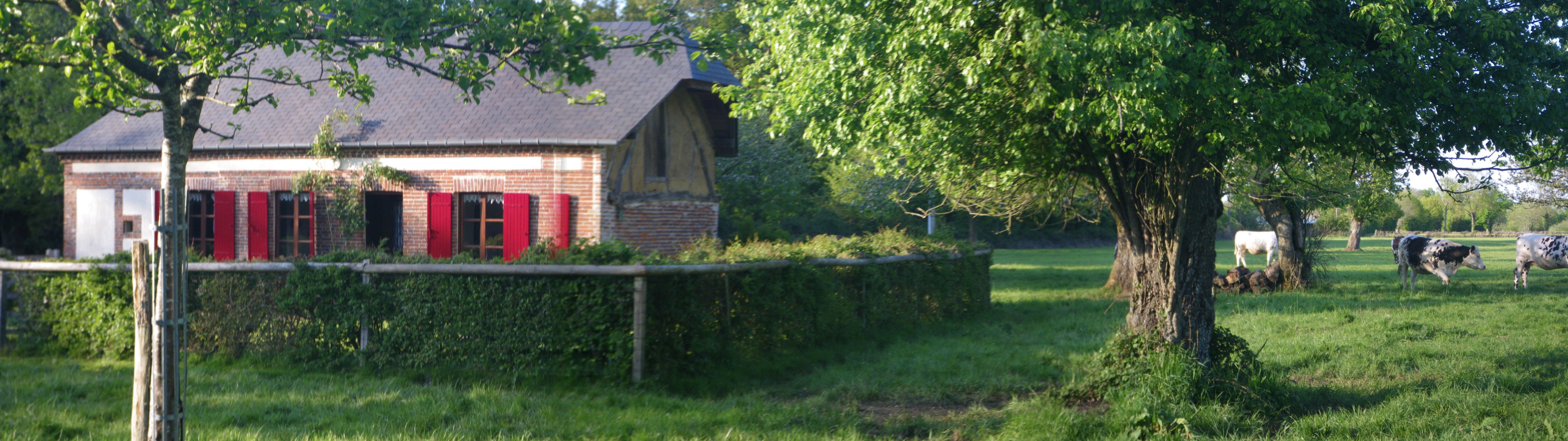 Imgp0538