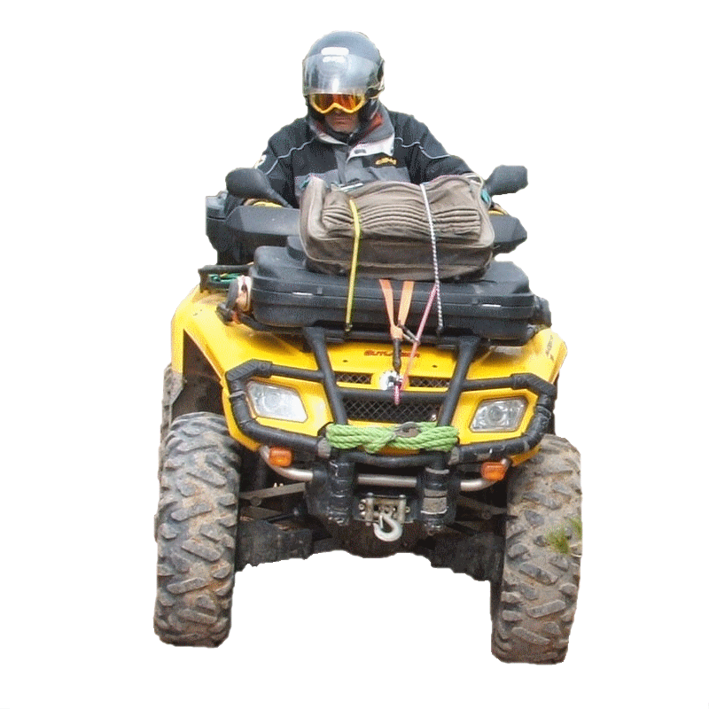 Quadseul1