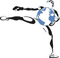 Logo fis