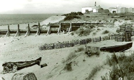 Morincapjadis