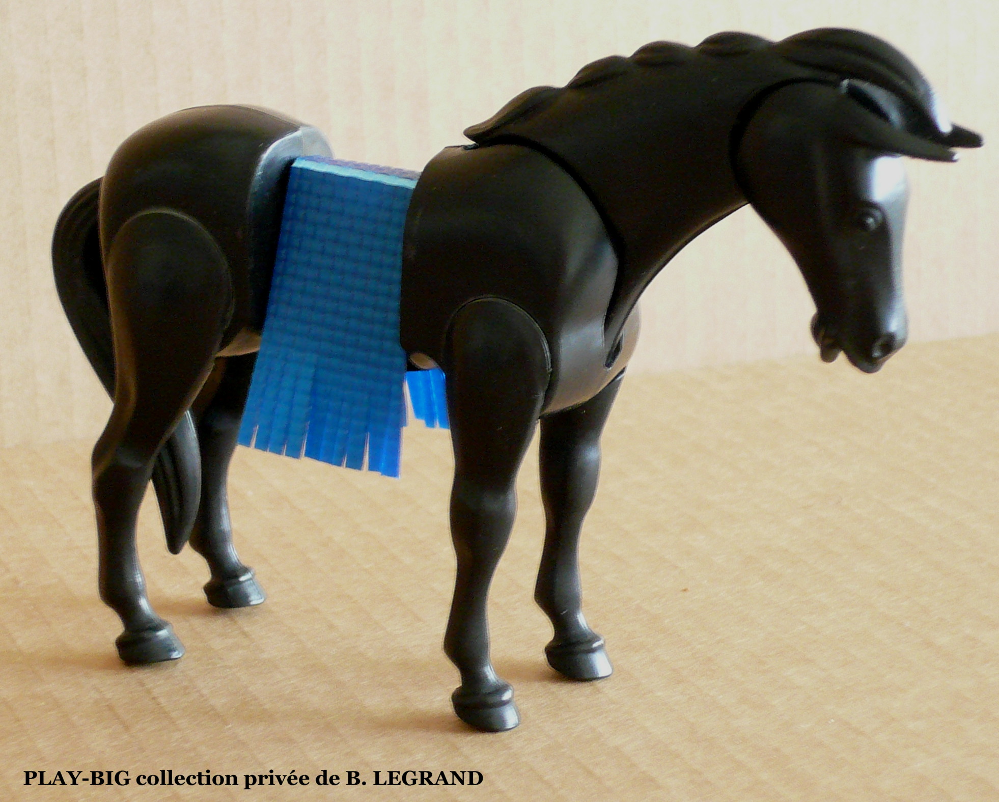 Les indiens cheval