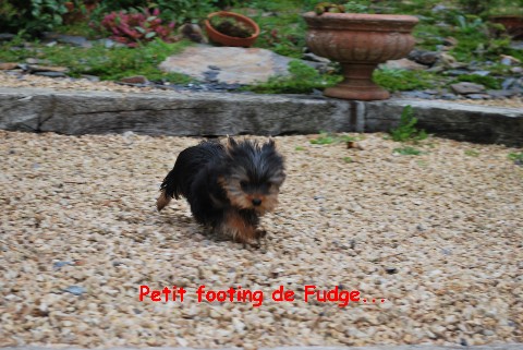 Footing fudge