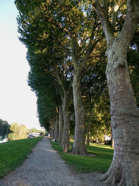 Bray3