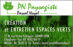 Noyel