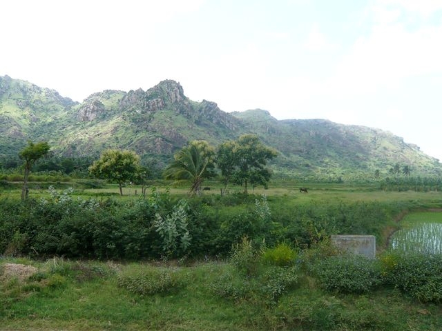 Ind6