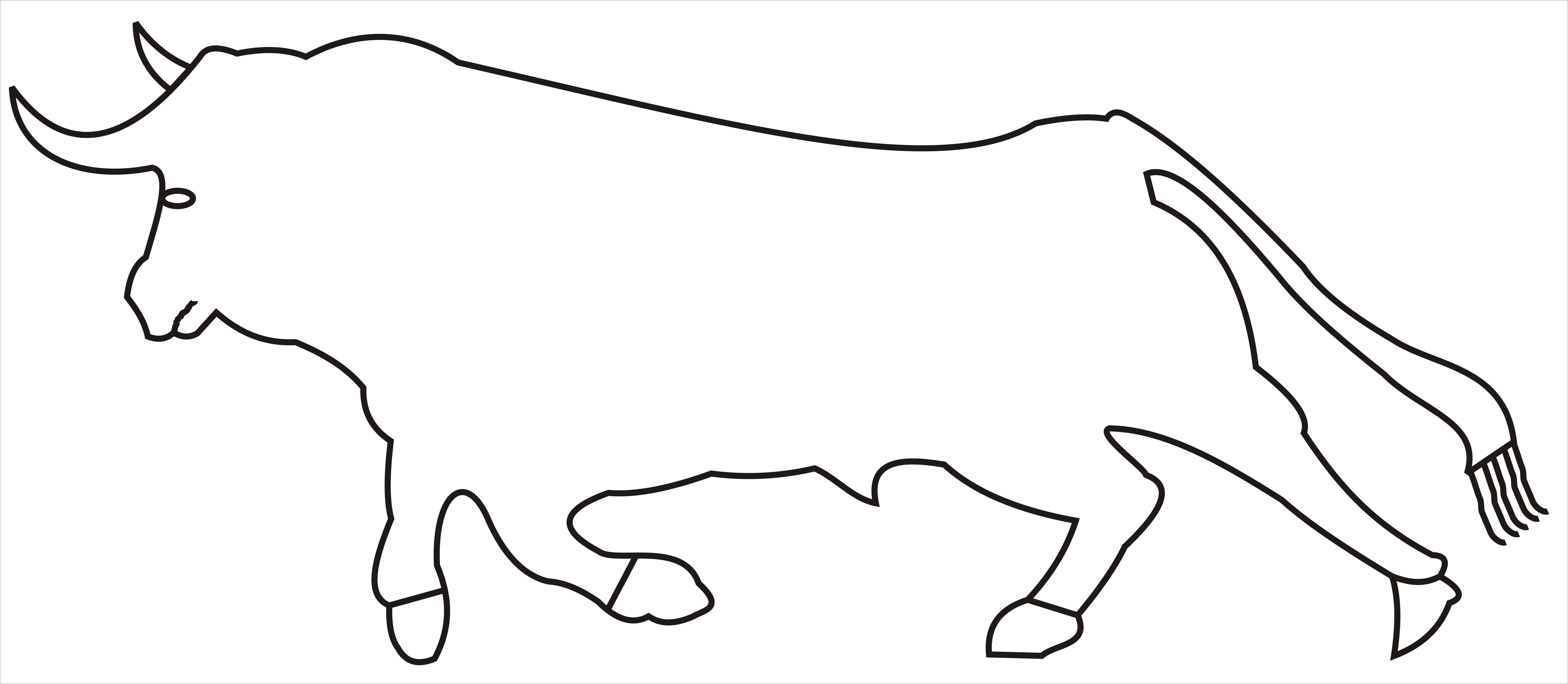 Toro de combat