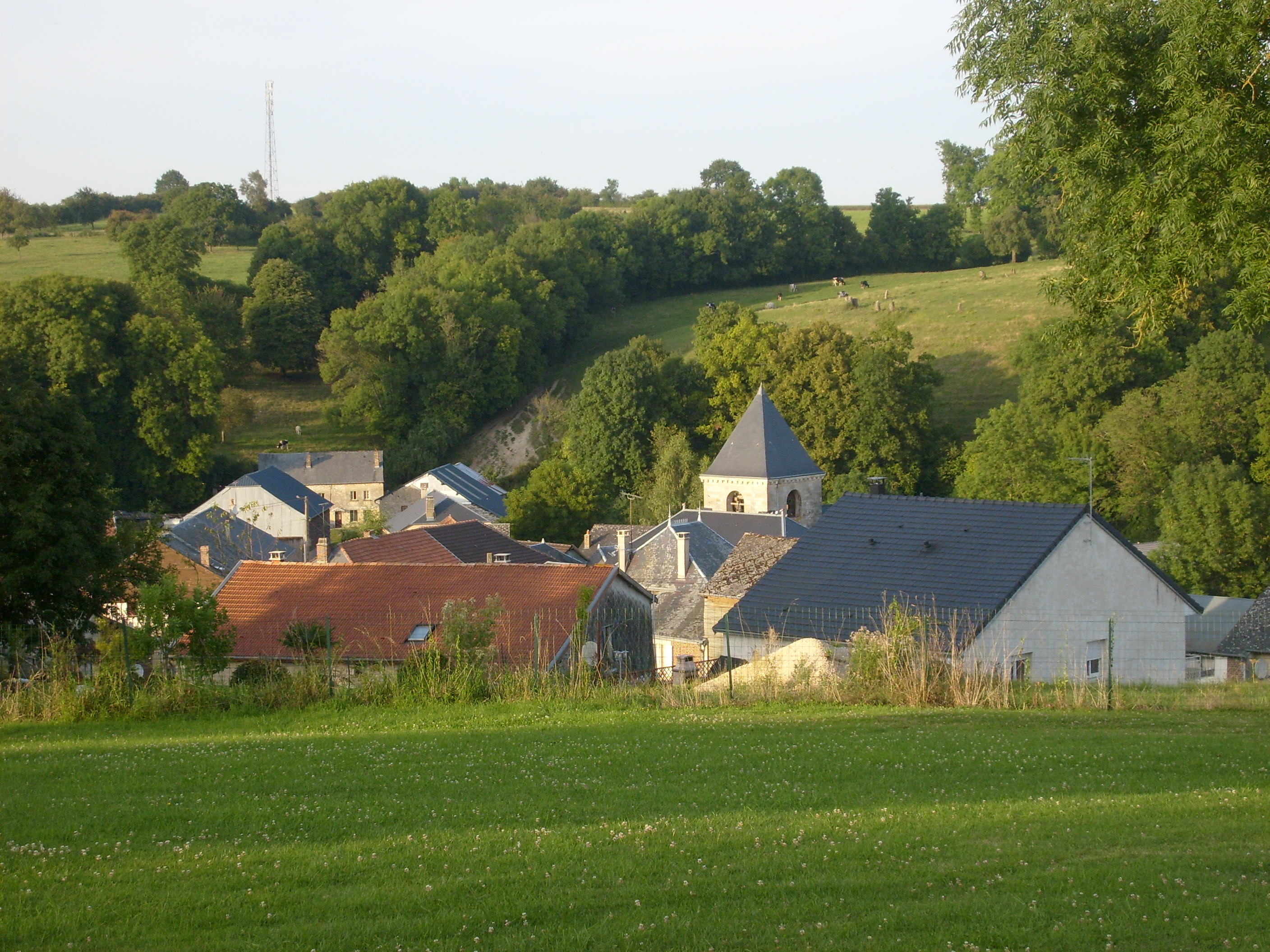 S6300875