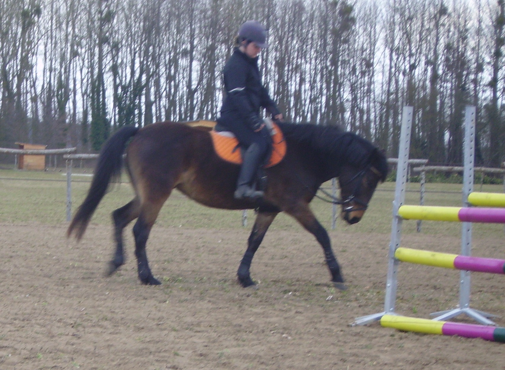 IMGP2546