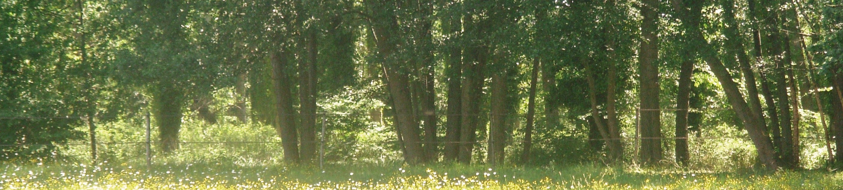 DSCN0588
