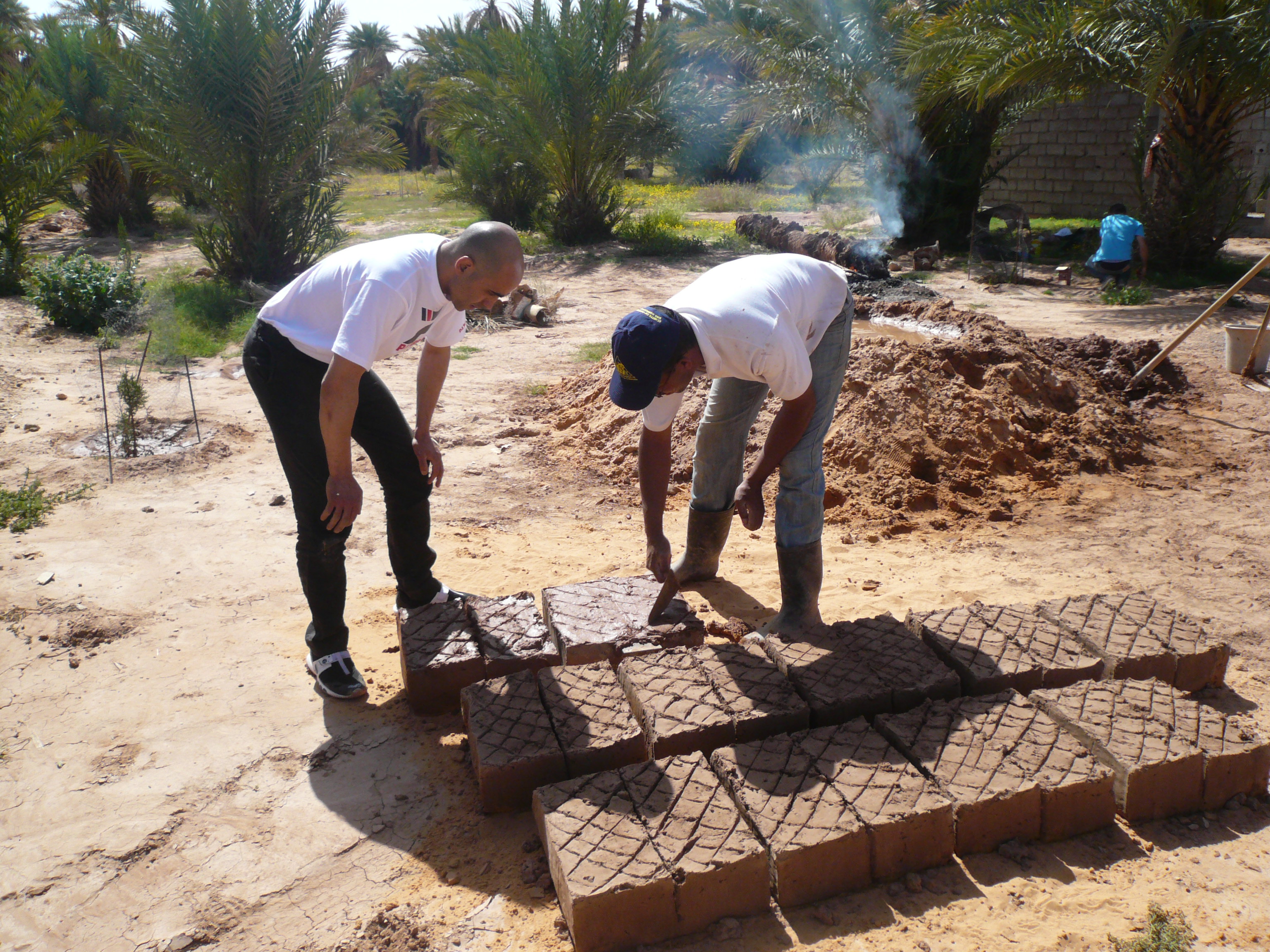 Taghit mai 09 041