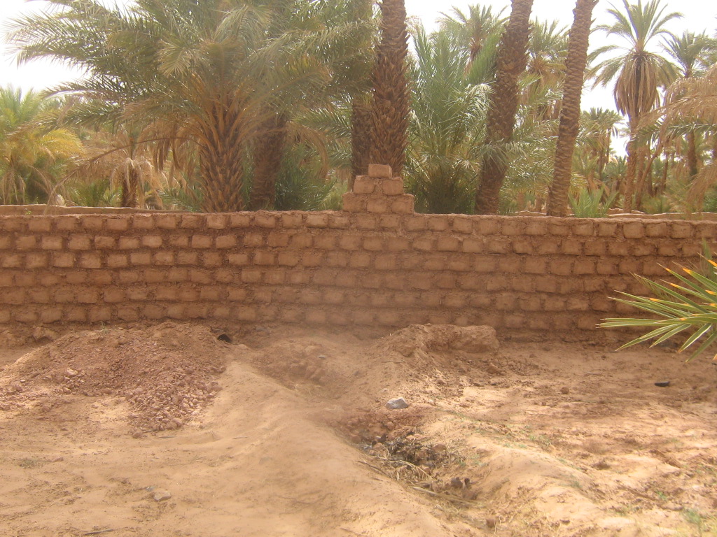 Phototaghit 016