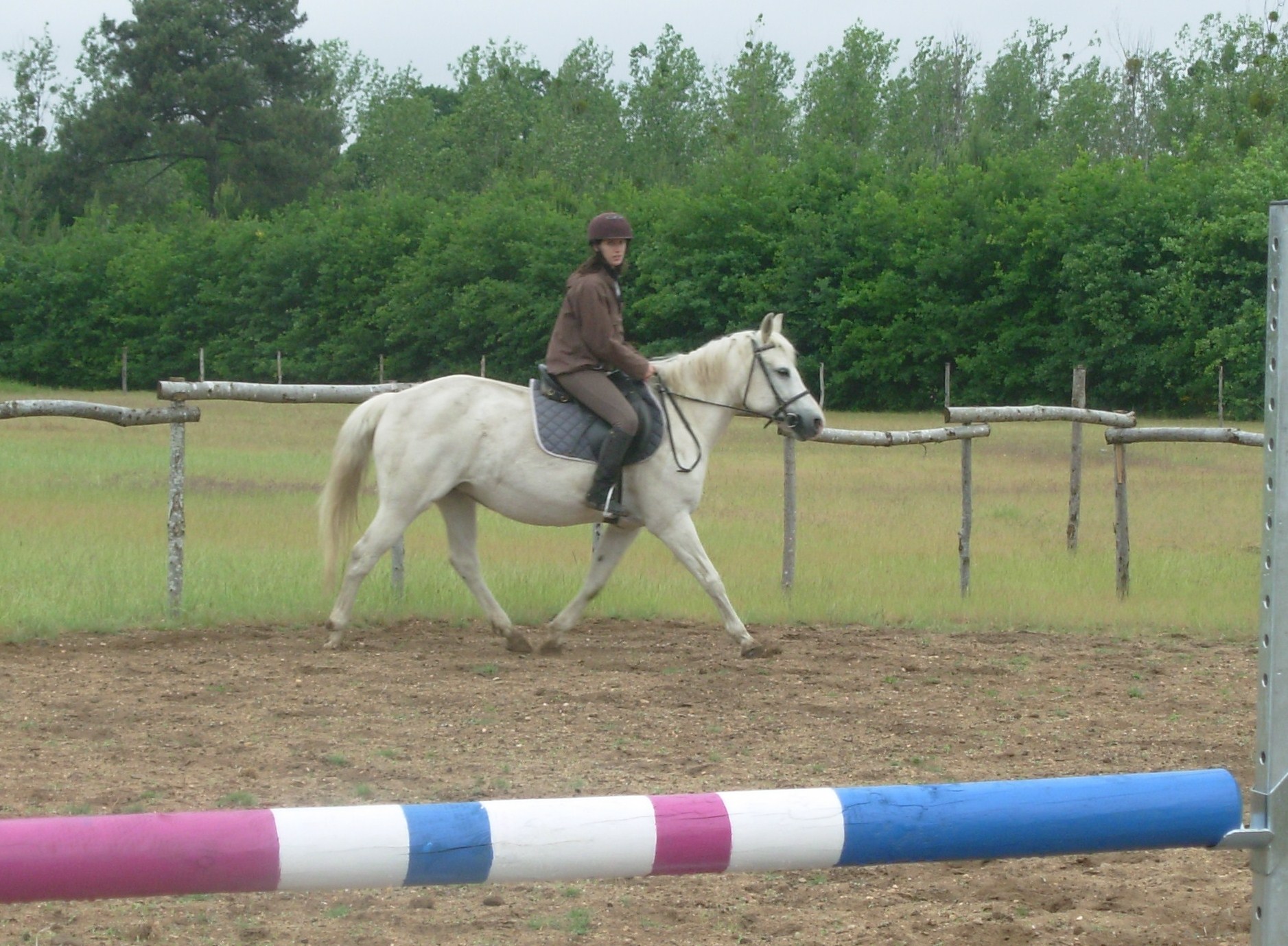 Dscn0629