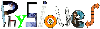Mot Physiques sans la barre du Qanime