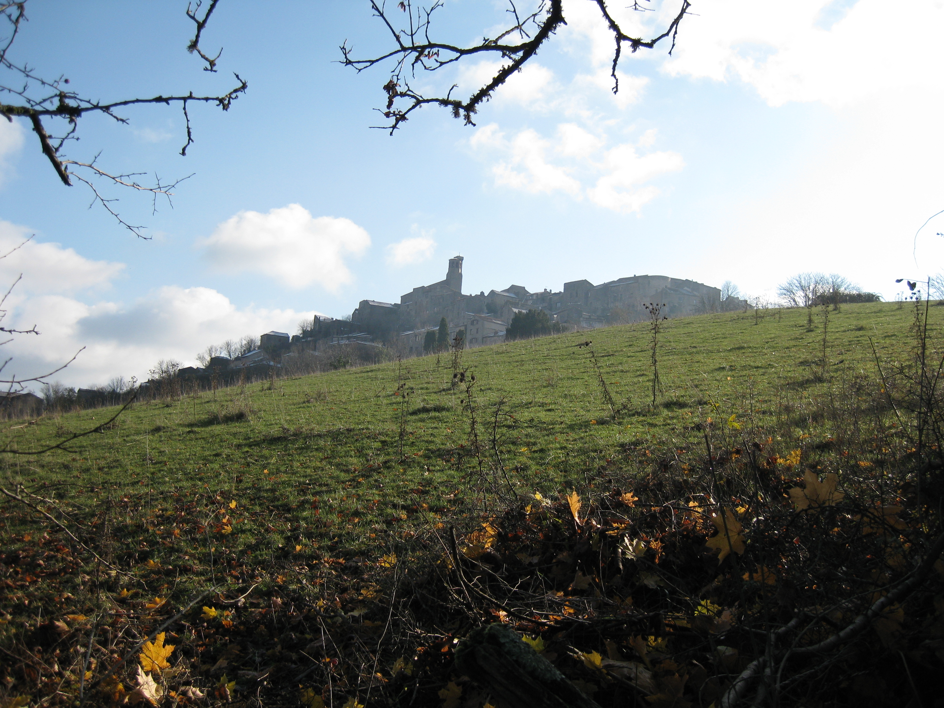 Cordes1