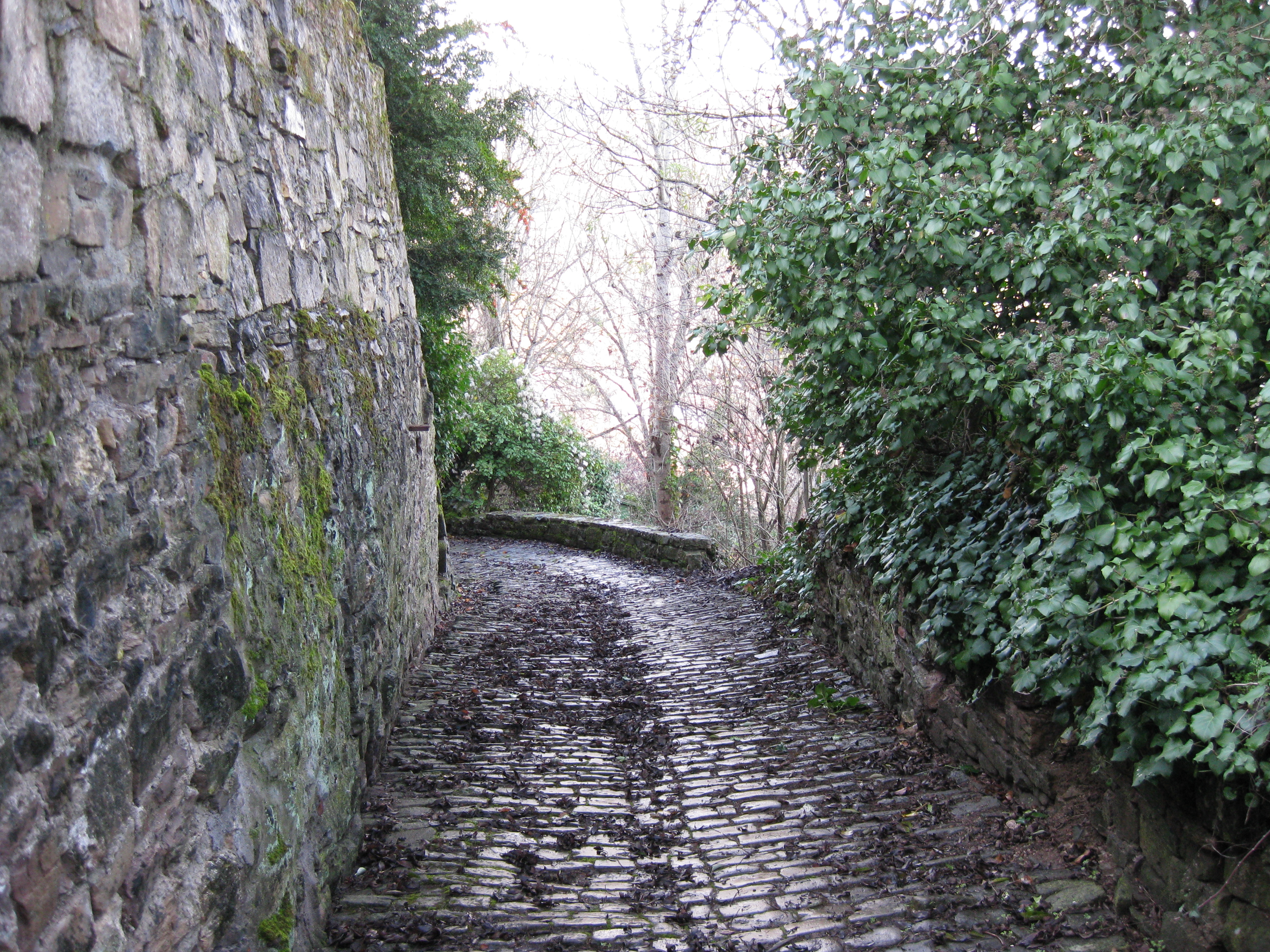 Chemin cordais