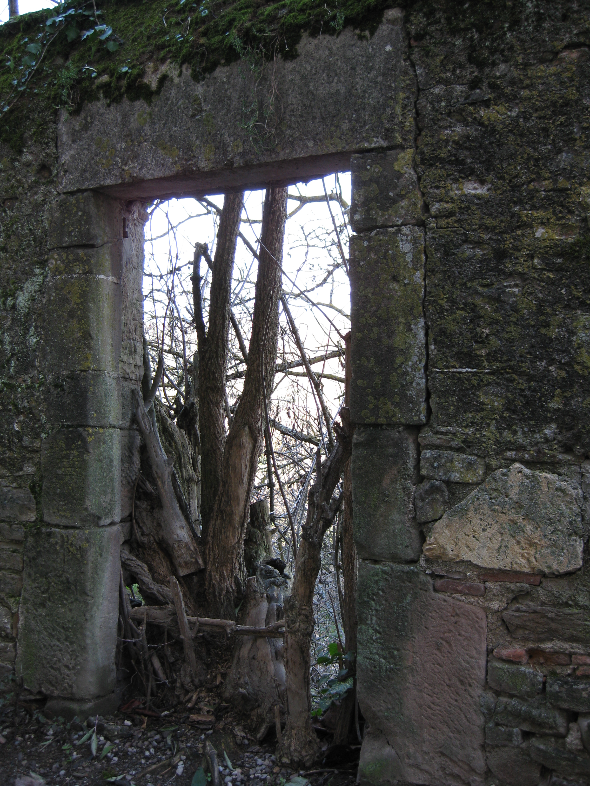 Ruines