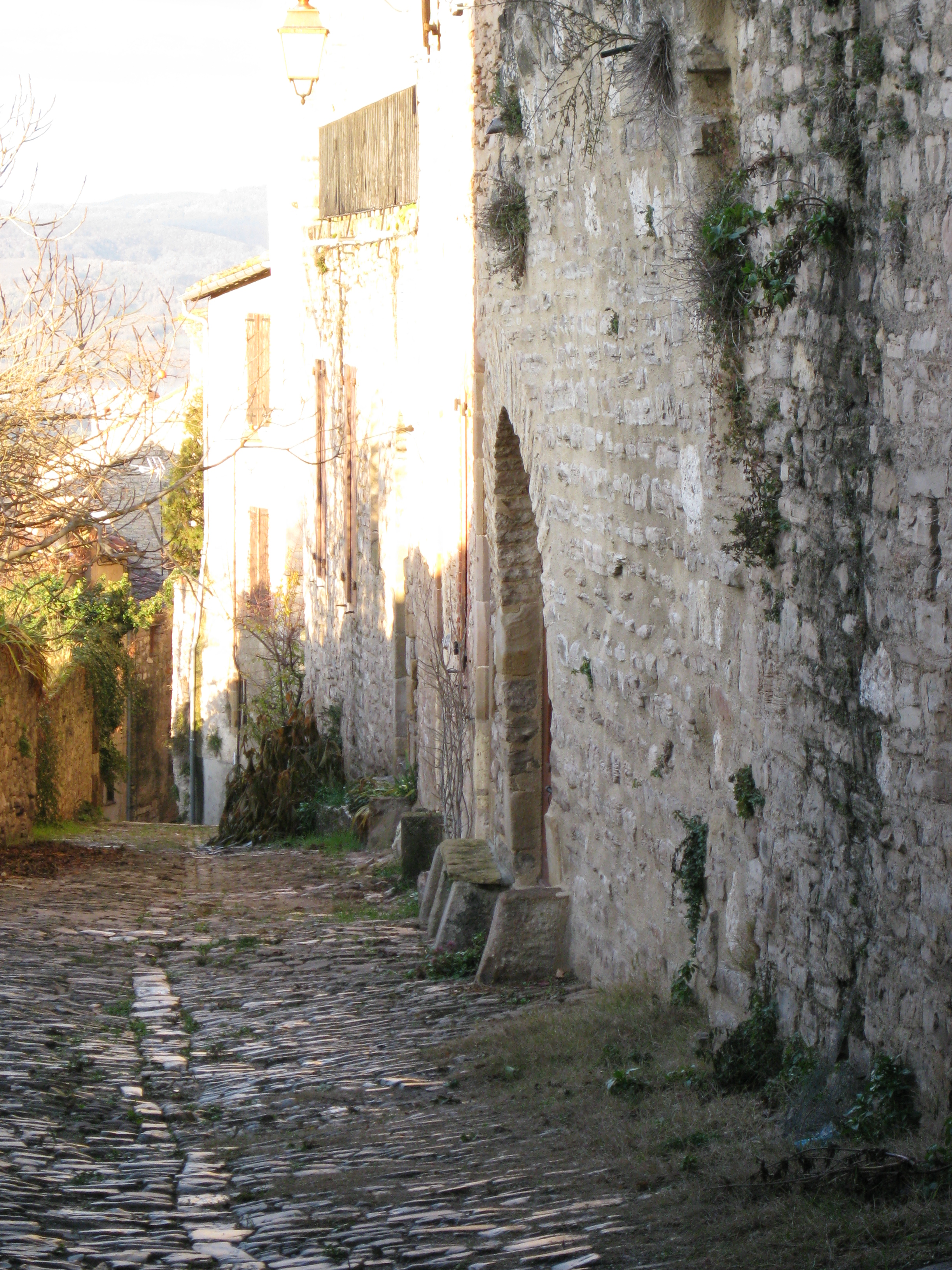 Ruelle