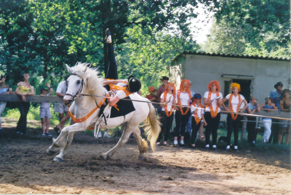 Voltige