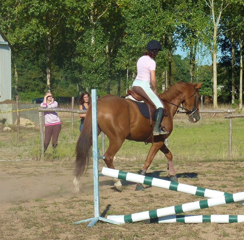 P1000533 2r