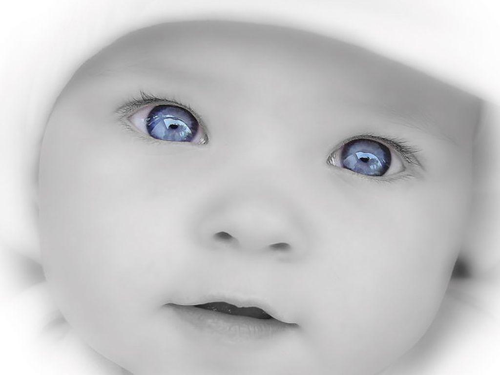 Bebe