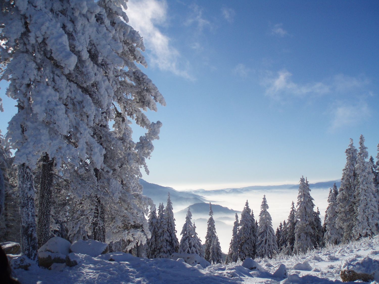 Neige