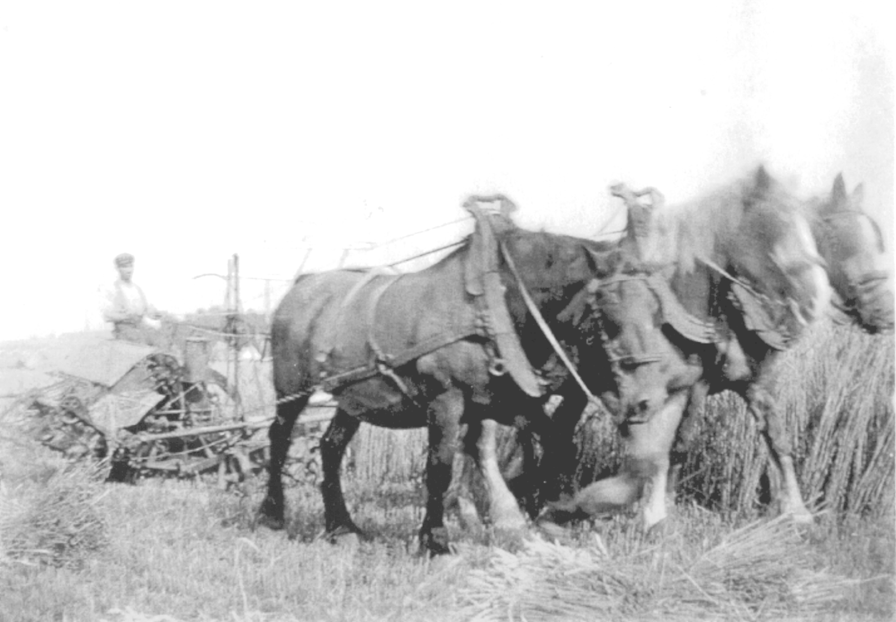 Bon Papa Chombart 1945