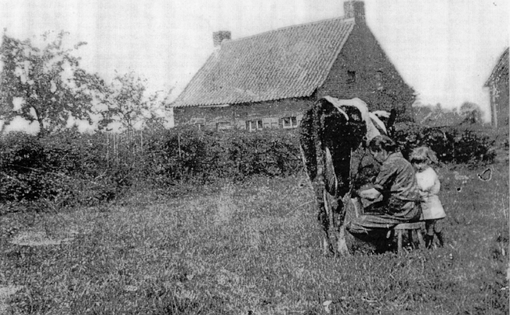 Traite 1950