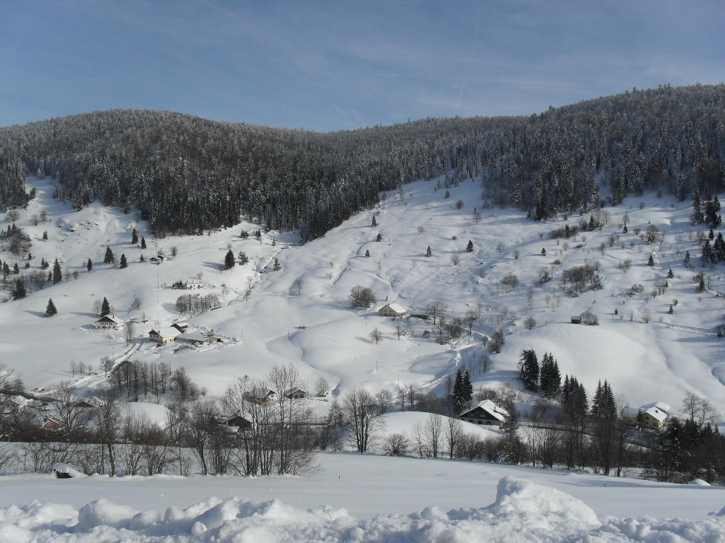 Du 22 fevrier 2010 003