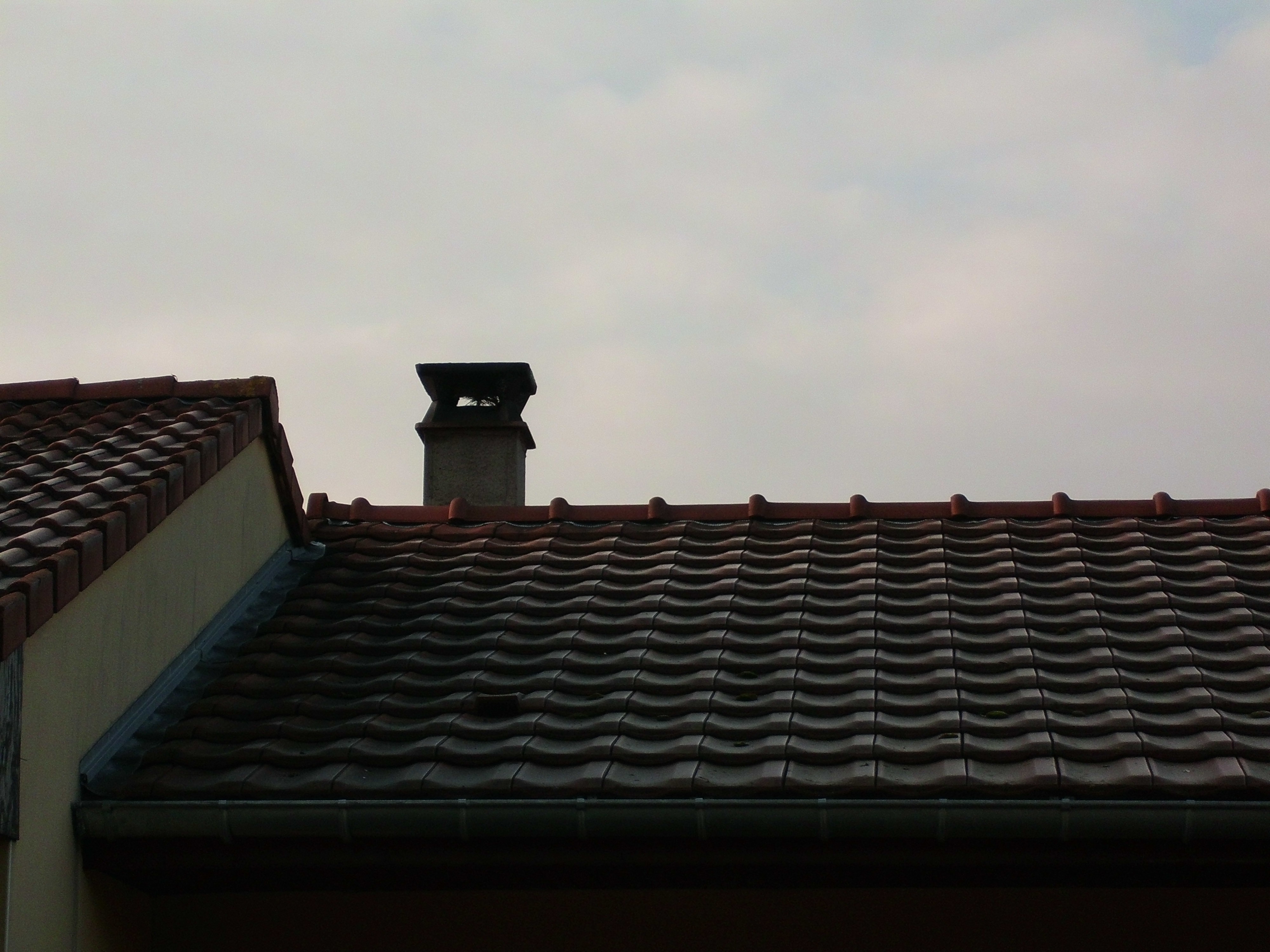 CIMG0146