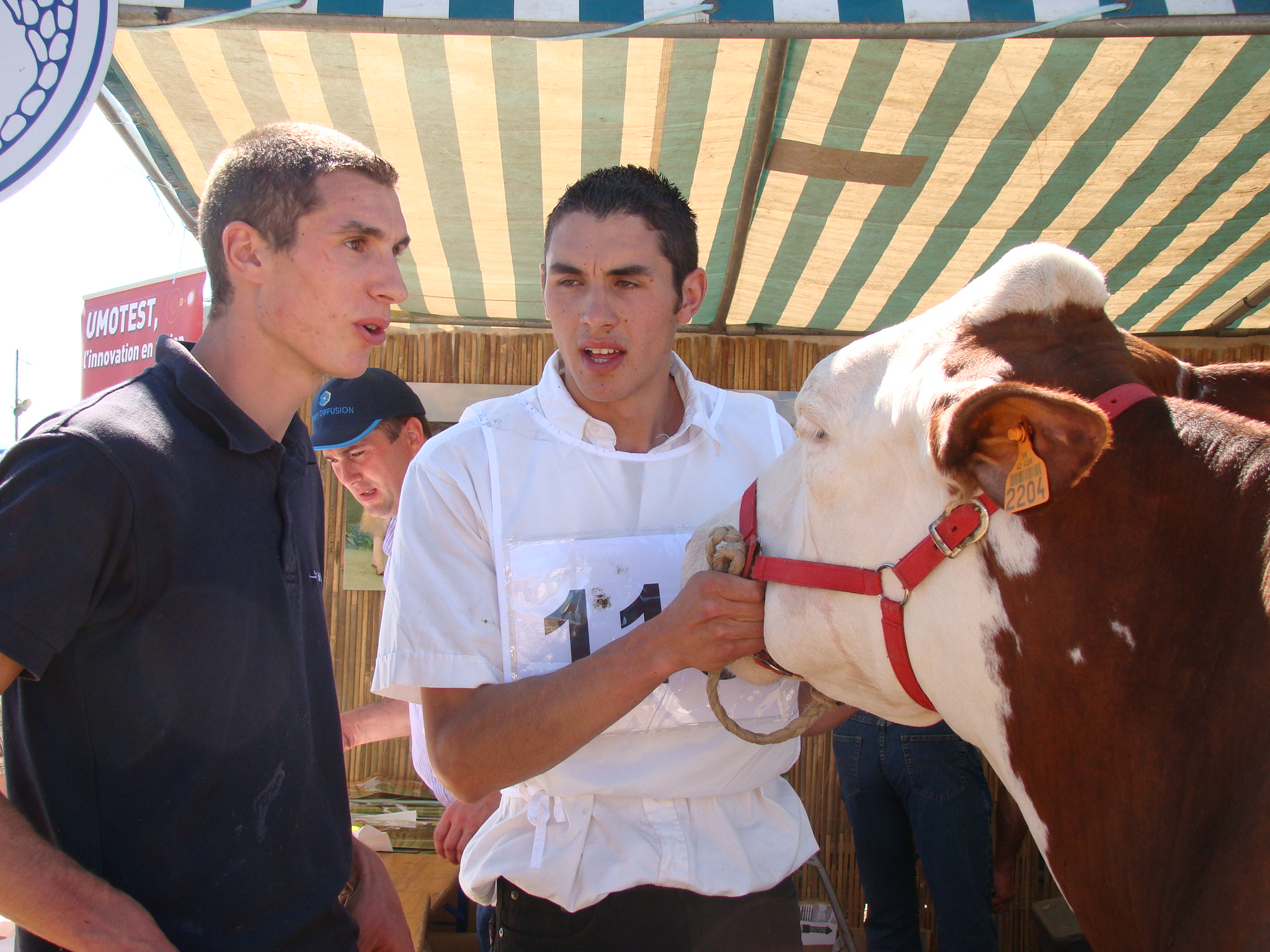 1O 11 12 sept 2010 063