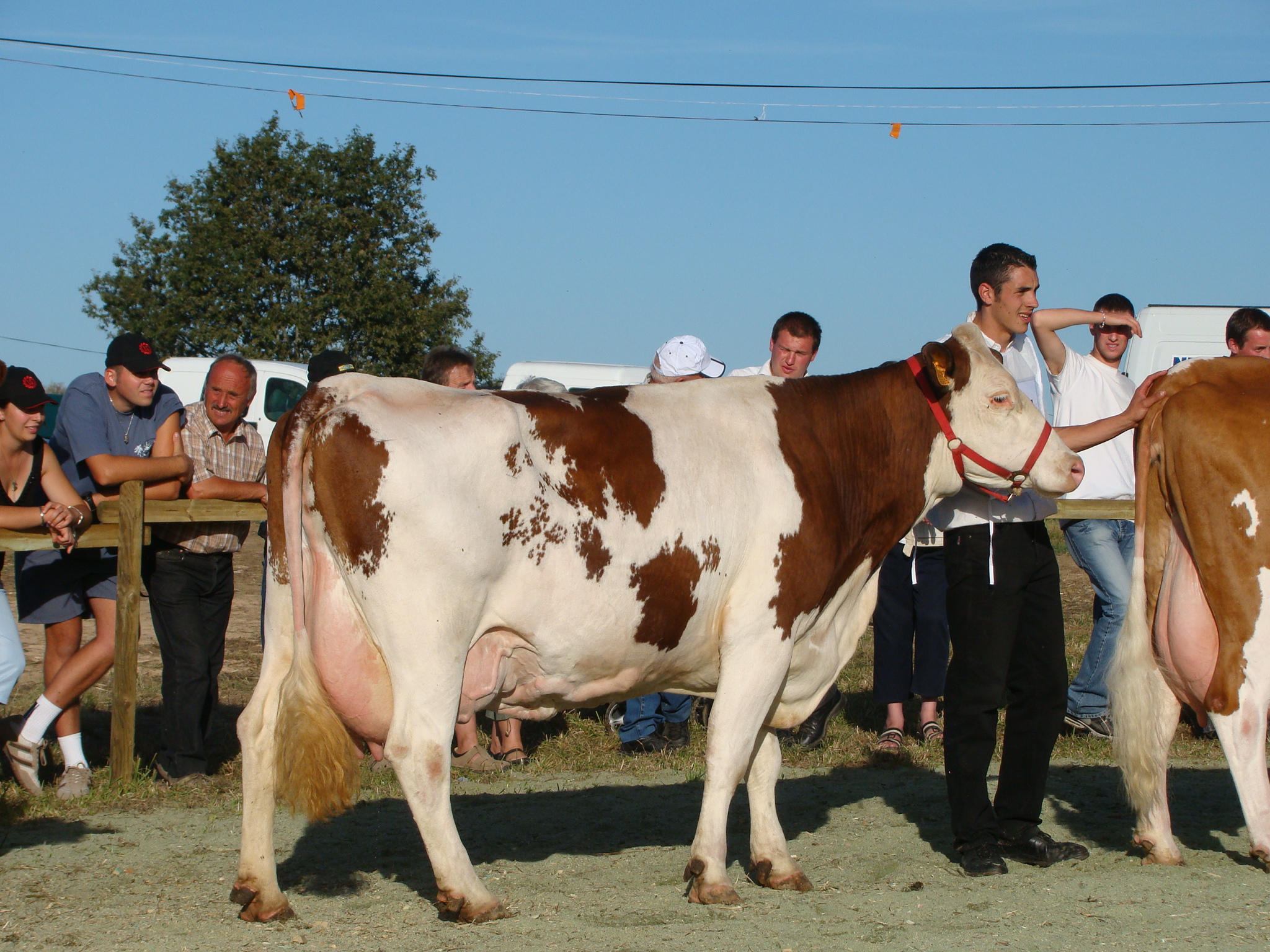 1O 11 12 sept 2010 103