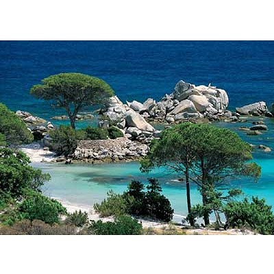 Corse