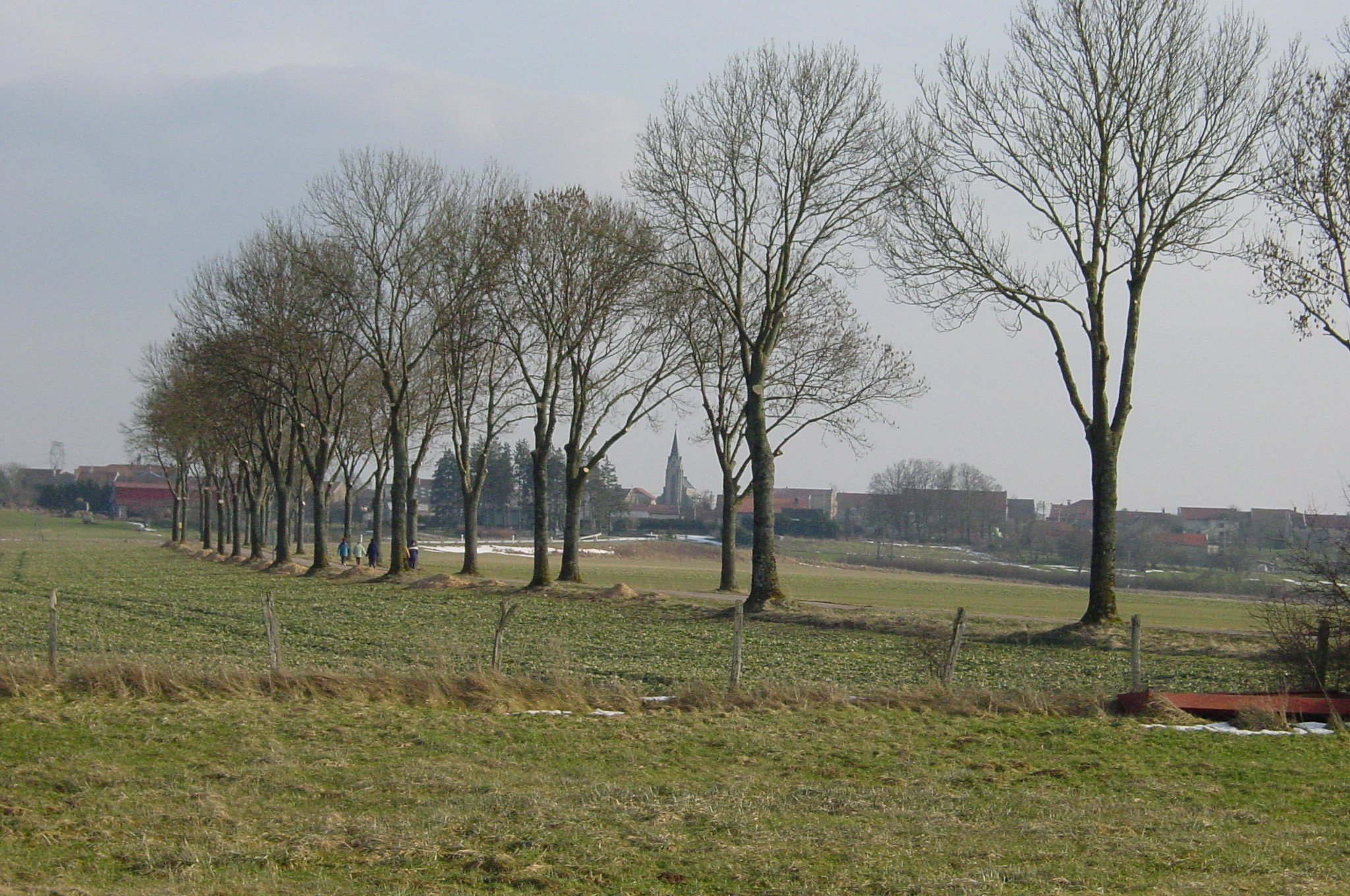 Dsc00405