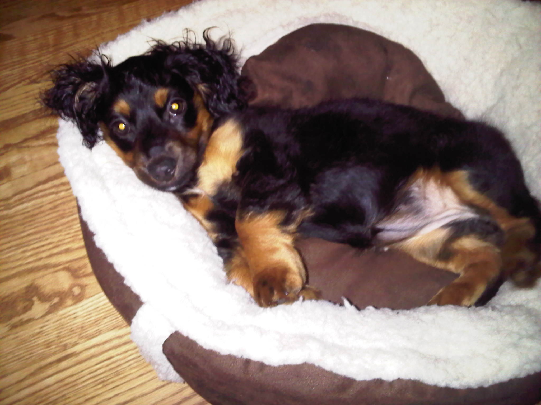 Img00078 20110128 2139